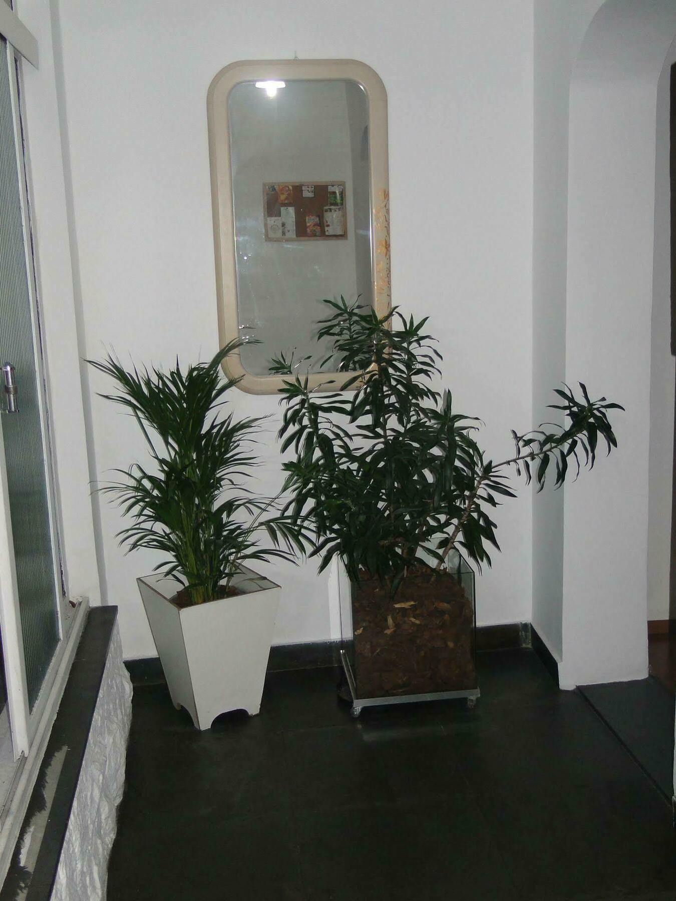 Today Hostel Sao Paulo Bagian luar foto